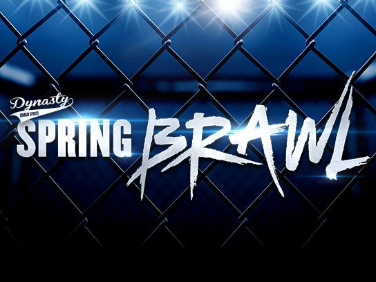 More Info for Dynasty Combat Sports presents Spring Brawl 2025